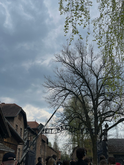 Wycieczka do Muzeum Auschwitz Birkenau - Miejsca Pamięci Narodowej 